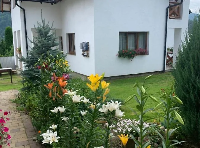 Apartment зґарда *