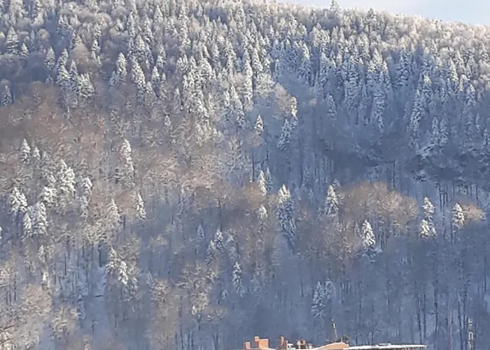 зґарда